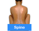 dorn spine selfhelp exercise